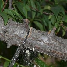 Load image into Gallery viewer, The Portable ChainSaw