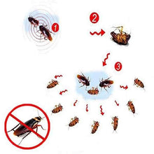 Load image into Gallery viewer, FALSE