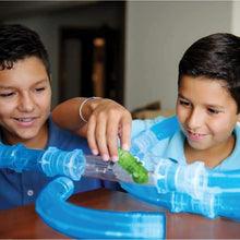 Load image into Gallery viewer, FALSE