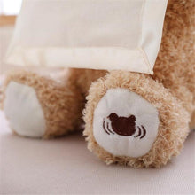 Load image into Gallery viewer, Peek-A-Boo Teddy Bear