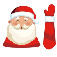 Load image into Gallery viewer, FALSE