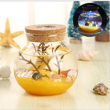 Load image into Gallery viewer, Saltwater Fish Stone Ocean Night Lights