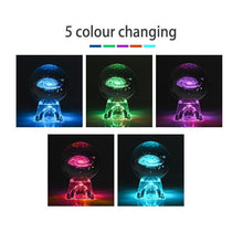 Load image into Gallery viewer, FALSE