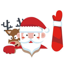 Load image into Gallery viewer, FALSE