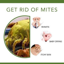 Load image into Gallery viewer, Bed Bug Killer