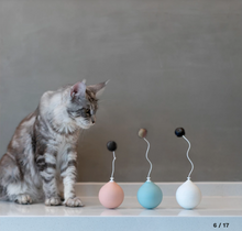 Load image into Gallery viewer, FALSE
