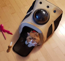 Load image into Gallery viewer, &quot;The Fat Cat&quot; Cat Backpack - For Larger Cats
