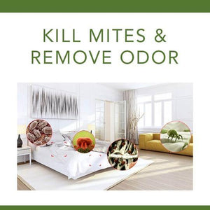 Bed Bug Killer