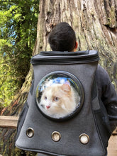 Load image into Gallery viewer, &quot;The Fat Cat&quot; Cat Backpack - For Larger Cats
