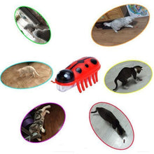 Load image into Gallery viewer, Amazing Robot Bug Toy For Cats
