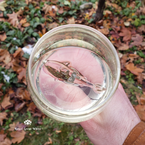 Crystal Shark Wine Glass